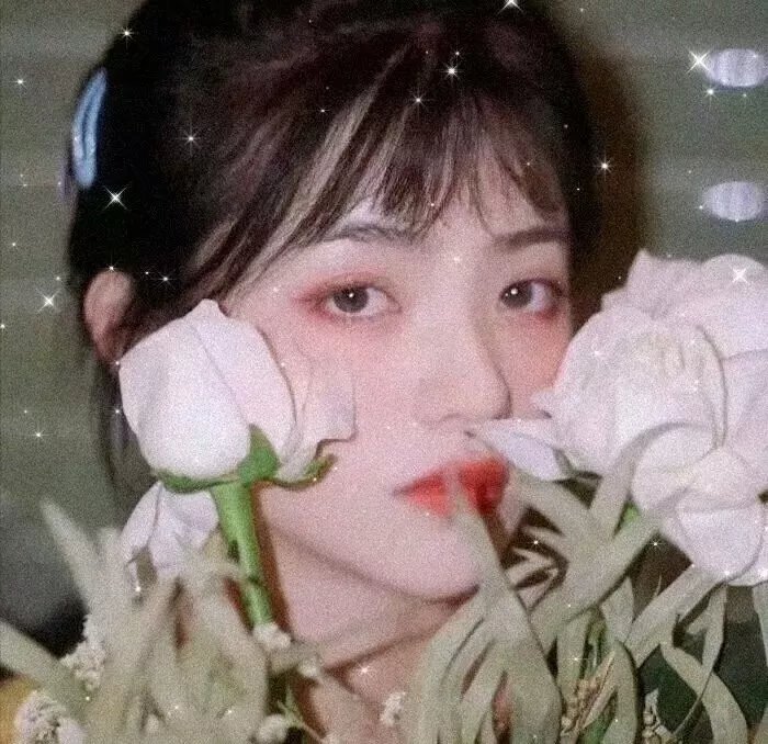不法之徒